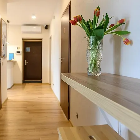 旅馆 克莱佩达旅馆 *