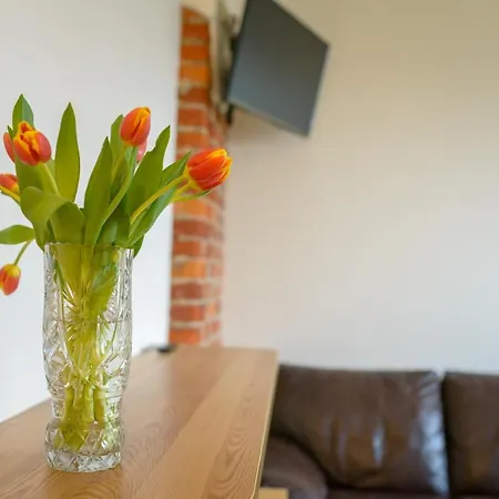 克莱佩达旅馆 旅馆 克莱佩达