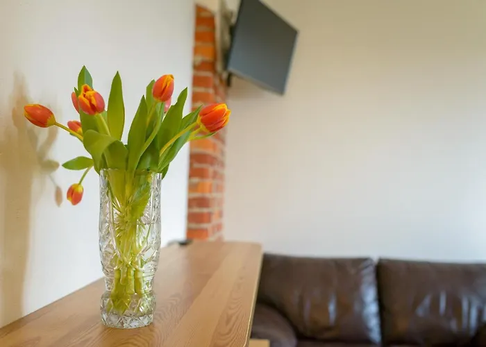 Klaipeda Hostel Auberge de jeunesse Klaipėda